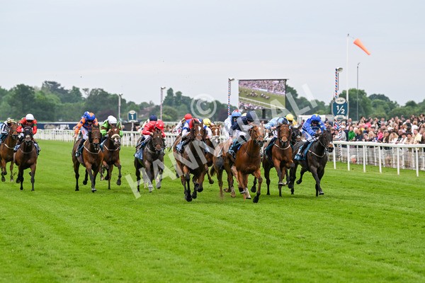 250524-Race 1-Tiriac-2655 - Race 1 1.35pm William Hill Keep Your Raceday Positive Handicap