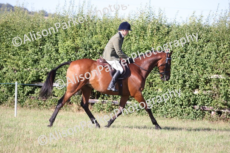 20260906-0383 - Class 14 - Ex Racehorse