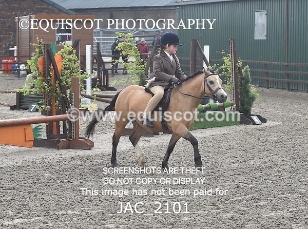 JAC_2101 - CLASS 1 Nursery Novice Working Hunter