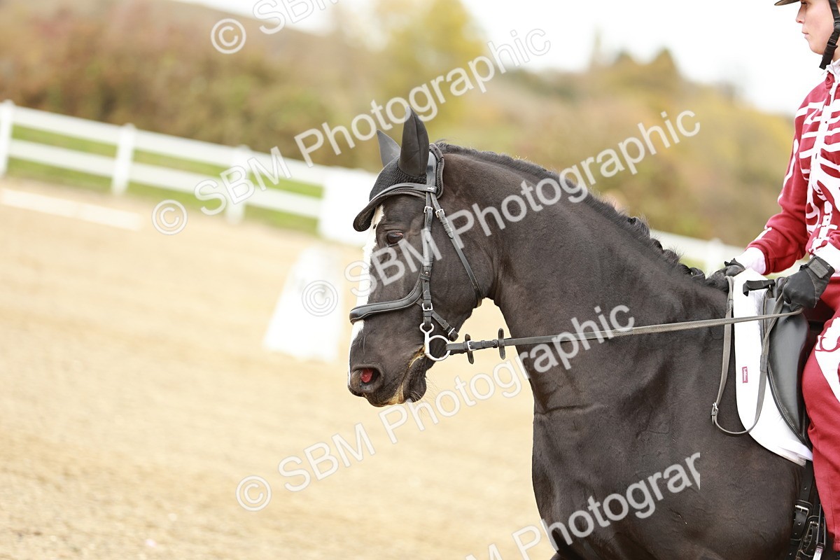 SBM_002066 - Class 6 - Prelim 2