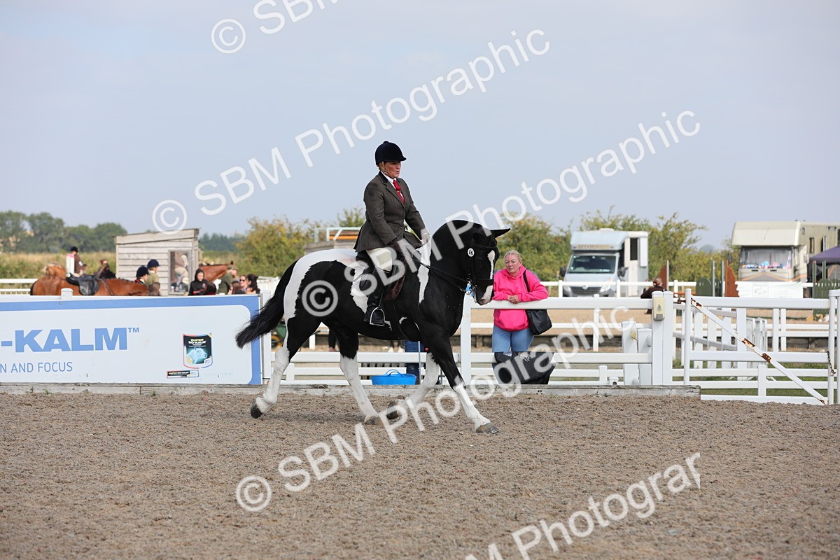 SBM_13484 - Class 308 Ridden Coloured Horse
