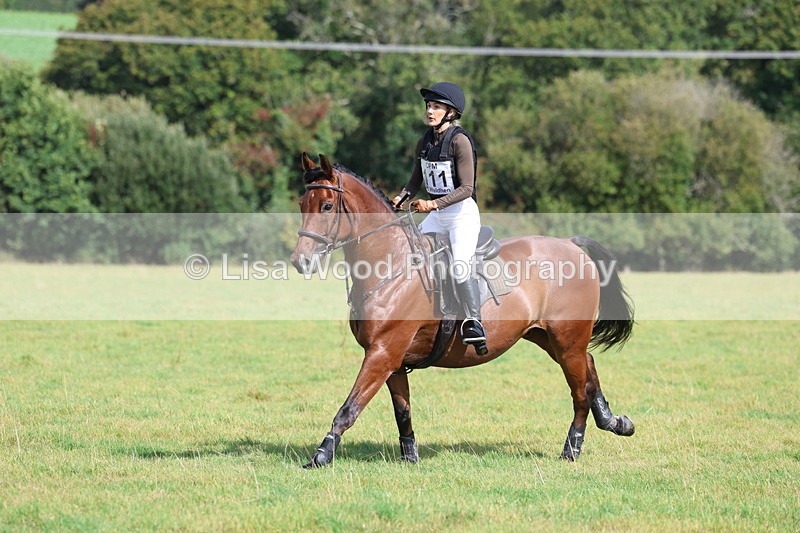 3E7A6599 - Class 1: Trebudannon Open: Pheasant Feeder