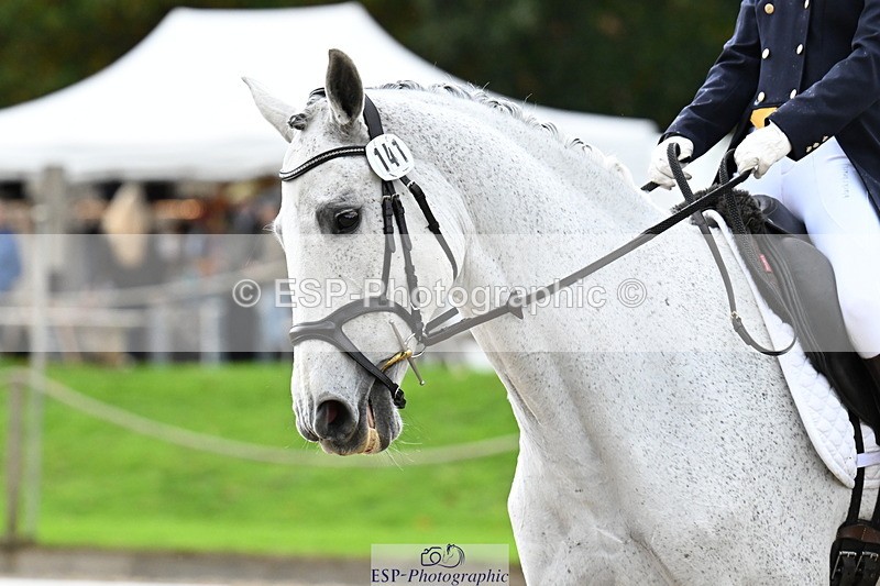 251023A-120149-02139 - B-141-Erin.Neale