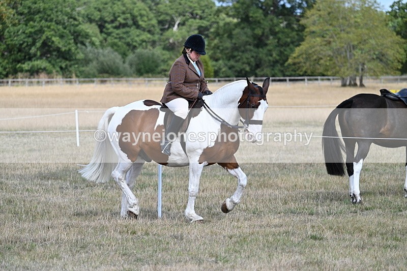 WJ7_6716 - Class 14 Ridden Coloured