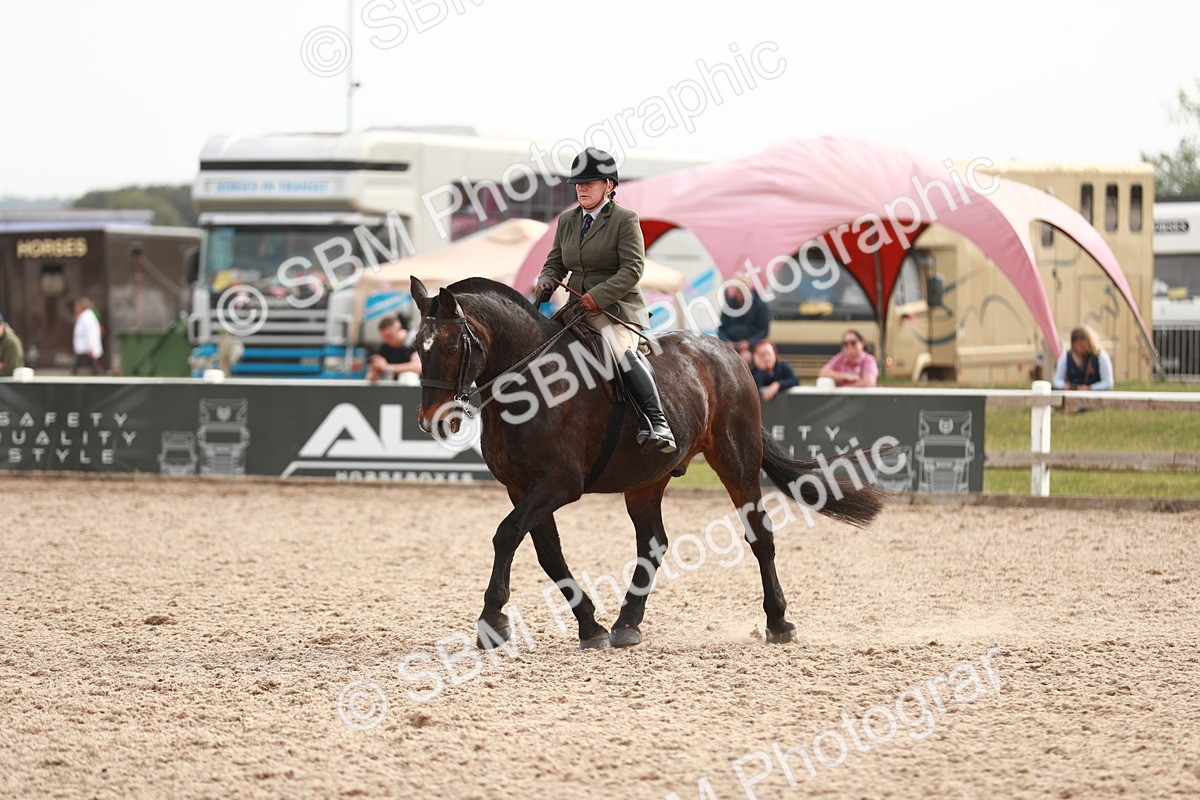 SBM_16784 - Class 214 Ridden Cob