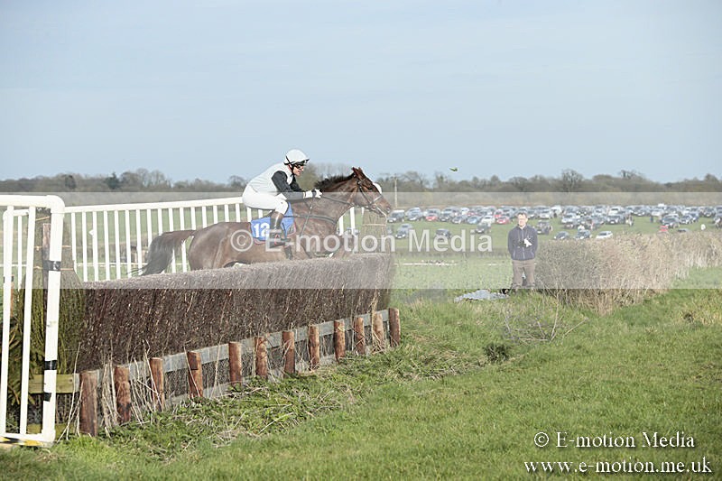PtP 230319 488 - VWH Hunt Siddington Point-to-Point Racing 23/03/19