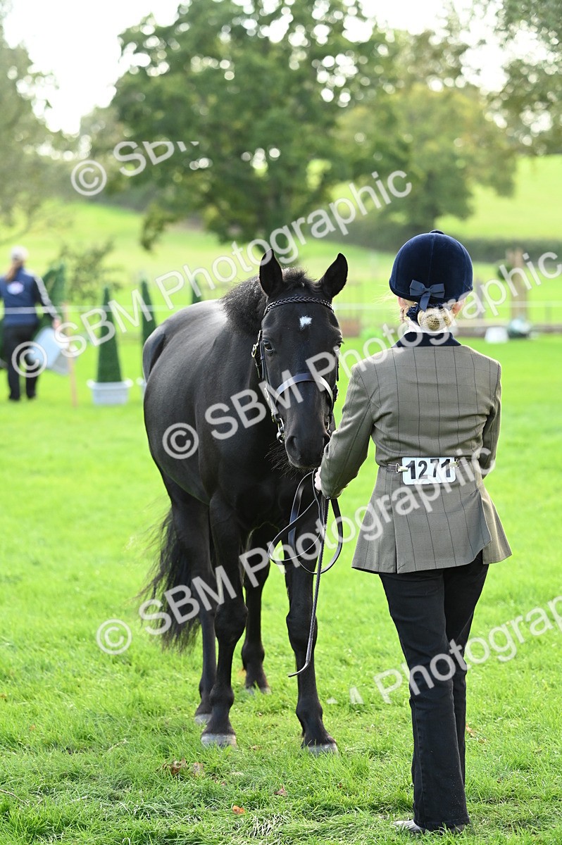 SBM_24999 - S5 - Novice & Newcomer In hand