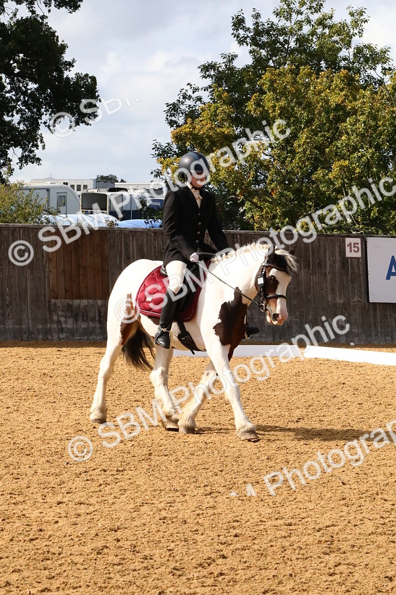 SBM_24472 - D5 - Small Tour Championshop Intro 2