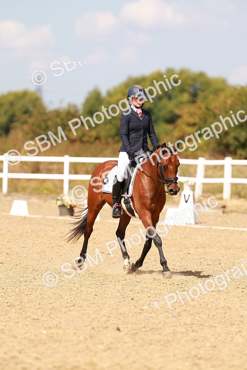 SBM_018464 - Class 9 - N5 Bronze 11.57.13.07