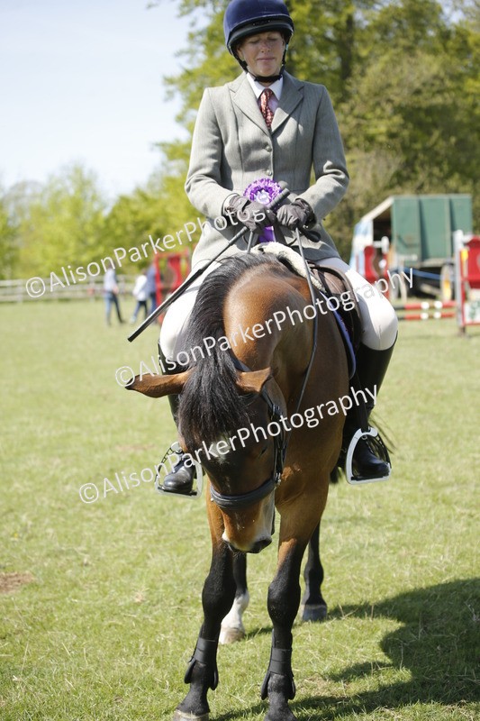 20250427-2374 - Class 13 - Novice Jumping 60cm