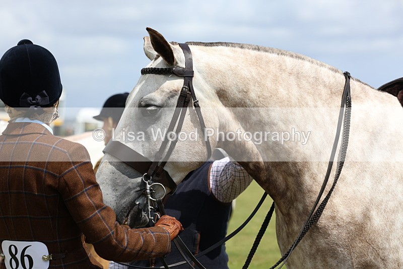 3E7A2212 - Class 10: Open Cob