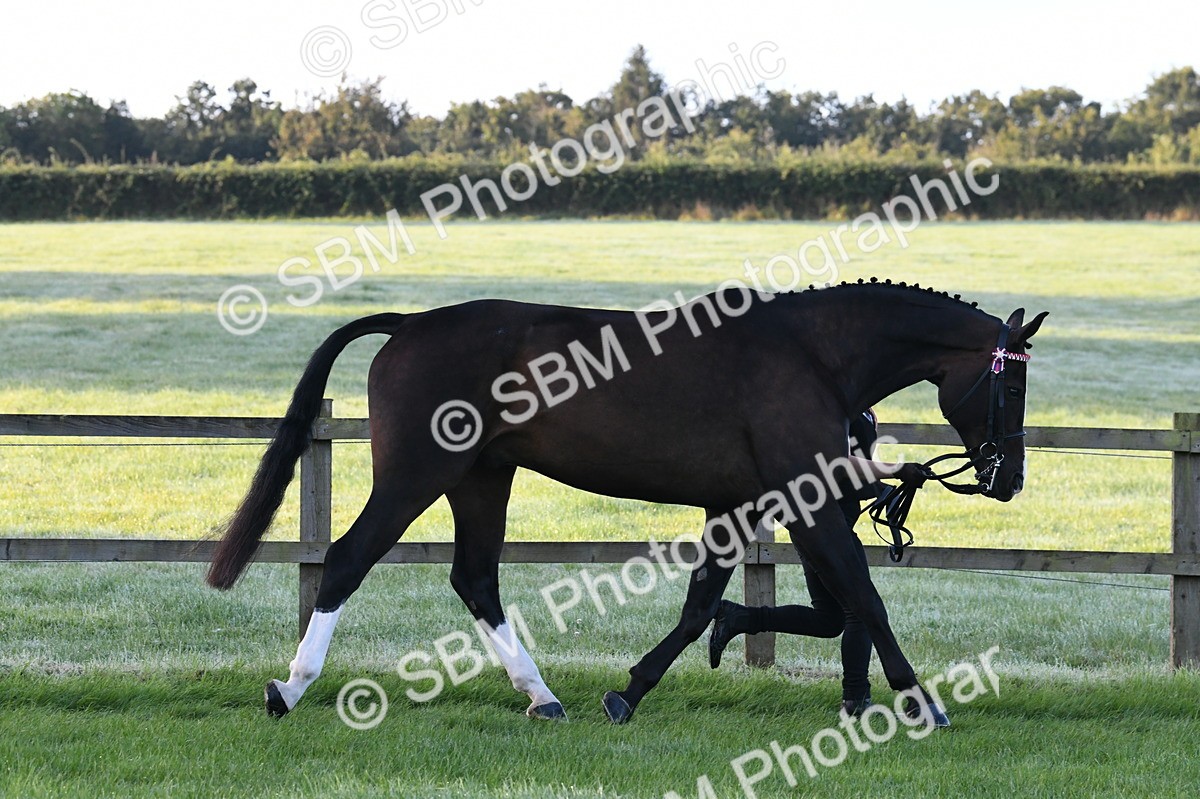 SBM_32586 - S15 - Condition & Turnout In Hand