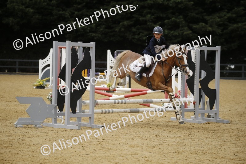 20250622-5934 - 60cm