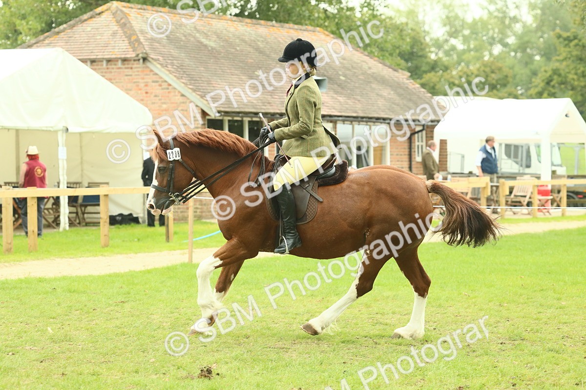 SBM_72122 - S60 - Mountain & Moorland Ridden Large Breeds