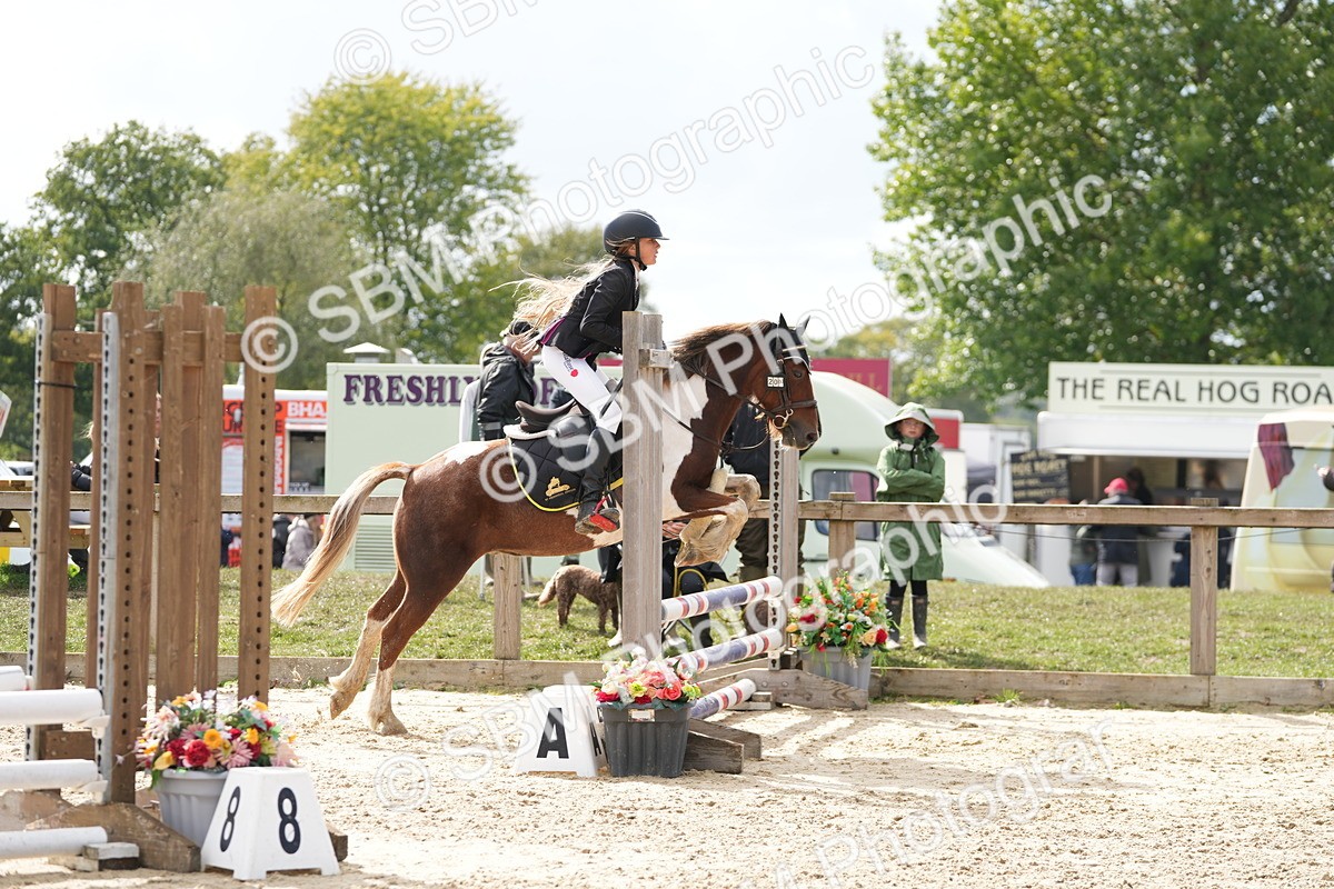 SBM_46947 - J7 - Junior Pony 60cm Championship