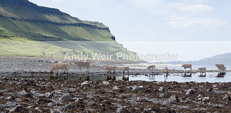 20120602-_MG_0288 - Scotland