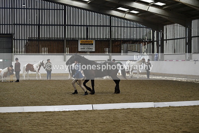 WJ5_4828 - Class 7 In hand coloured / odd coloured