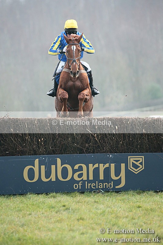 PtP 251118-101 - Vine & Craven Point-to Point Barbury Racecourse 25/11/18