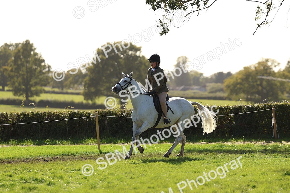 SBM_52449 - S13 - Pony Club Pony