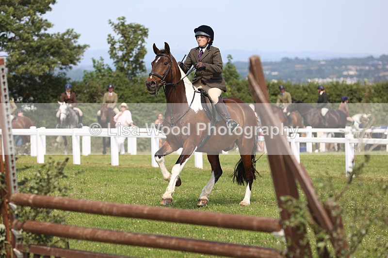 JPP_3641 - Class 23: Working Hunter 80cm