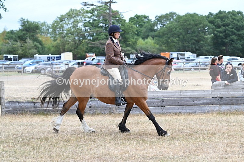 WJ7_0548 - Class 6 Ridden Mountain and Moorland