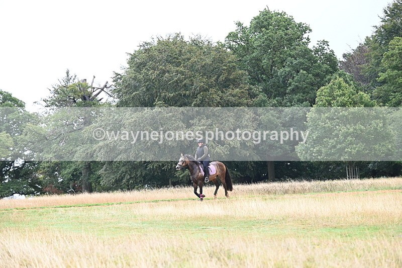 DSC_1883 - Time at Statue 12:13 to 12:32