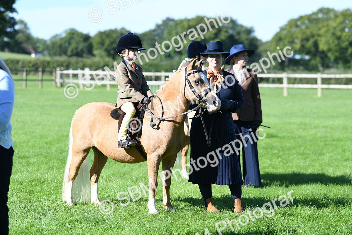 SBM_36857 - S18 - Novice & Newcomers Lead Rein Pony