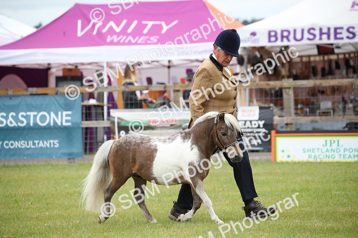 SBM_03739 - Class 23-25 - British Miniature Horse of the Year
