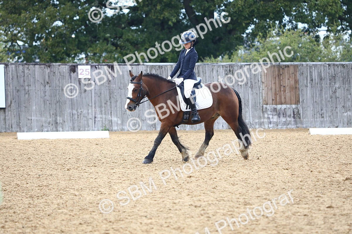 SBM_39039 - D21 - Junior Championship Intro 1