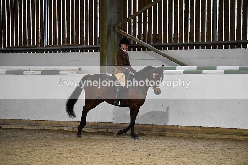 WJ5_8788 - Class 15 Ridden Show Horse