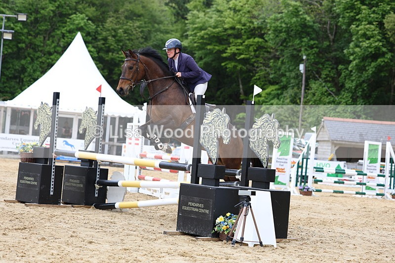 3E7A6227 - Class 4: Senior British Novice/90cm open