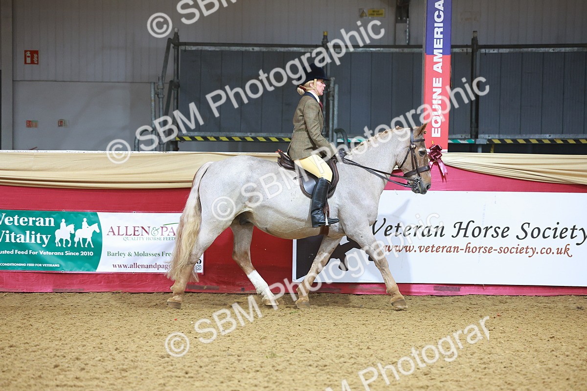 SBM_07581 - Class 101 - HOYS Veteran Qualifier - Ridden Diamond