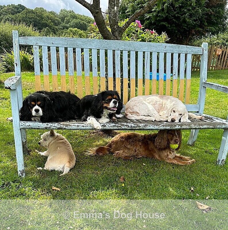  - House and Grounds