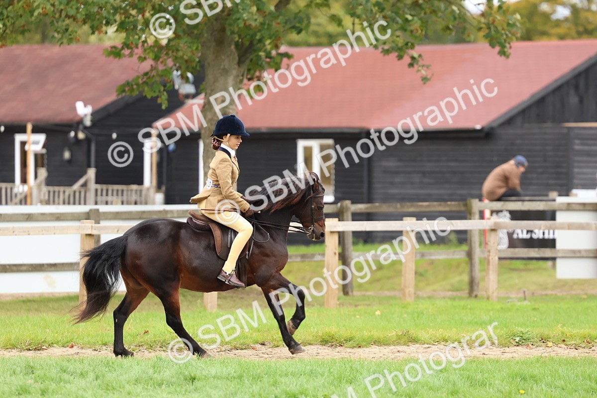 SBM_67431 - S61 - Mountain & Moorland Ridden