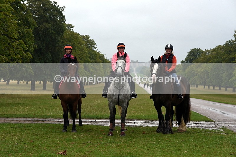 TT3_8056 - Time at Crossing 09:15 to 10:15