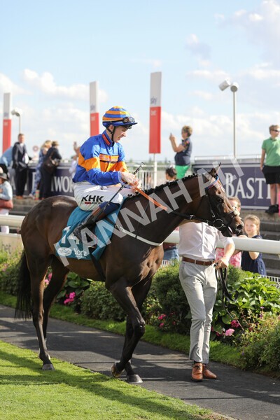 yr20082022r7-6 - Race 7 5.20pm Sky Bet Finale Stakes