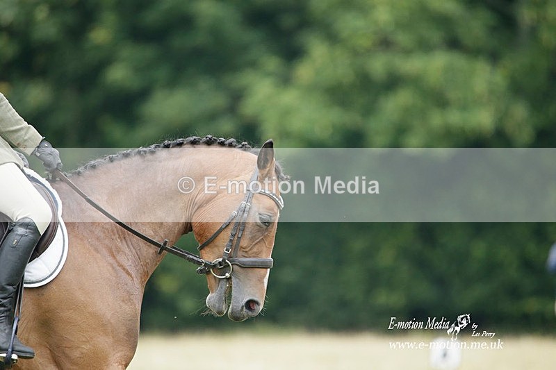BVRC 030721 238 - Bourne Valley Riding Club Dressage 03/07/21