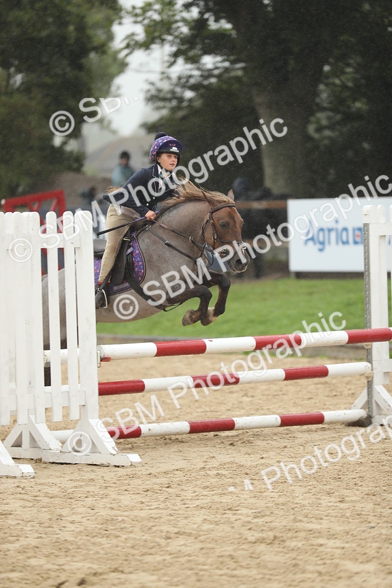SBM_74036 - J16 - Junior Pony 75cm Championship