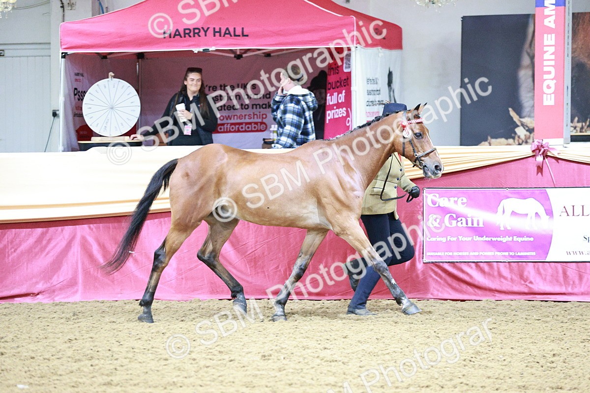 SBM_00155 - Class 1A - Area IH Diamond
