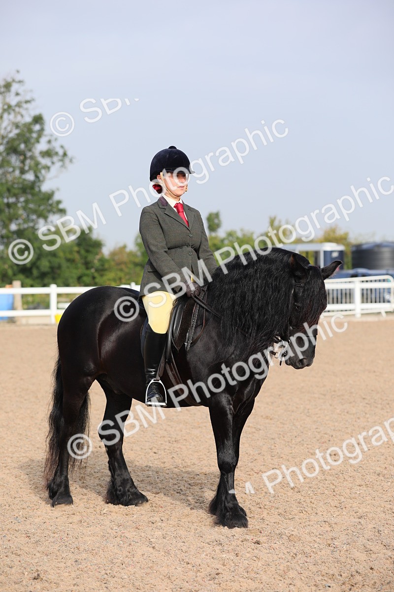 SBM_10131 - Class 302 Ridden M&M -Large Breeds
