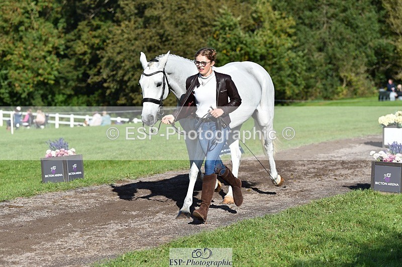 231022-110930-23762 - 401-SASSY.BIRD-Jemima.Haslam-TrotUp+SJ