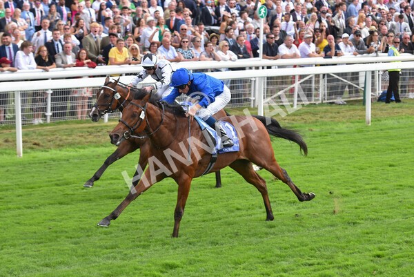 yr19082022r3-37 - Race 3 3.00pm Al Basti Equiworld Dubai Gimcrack Stakes