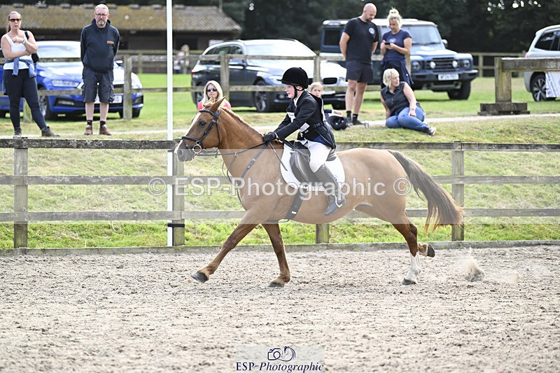 240823X-161211-19095 - 70cm R2 15.20 to 16.40