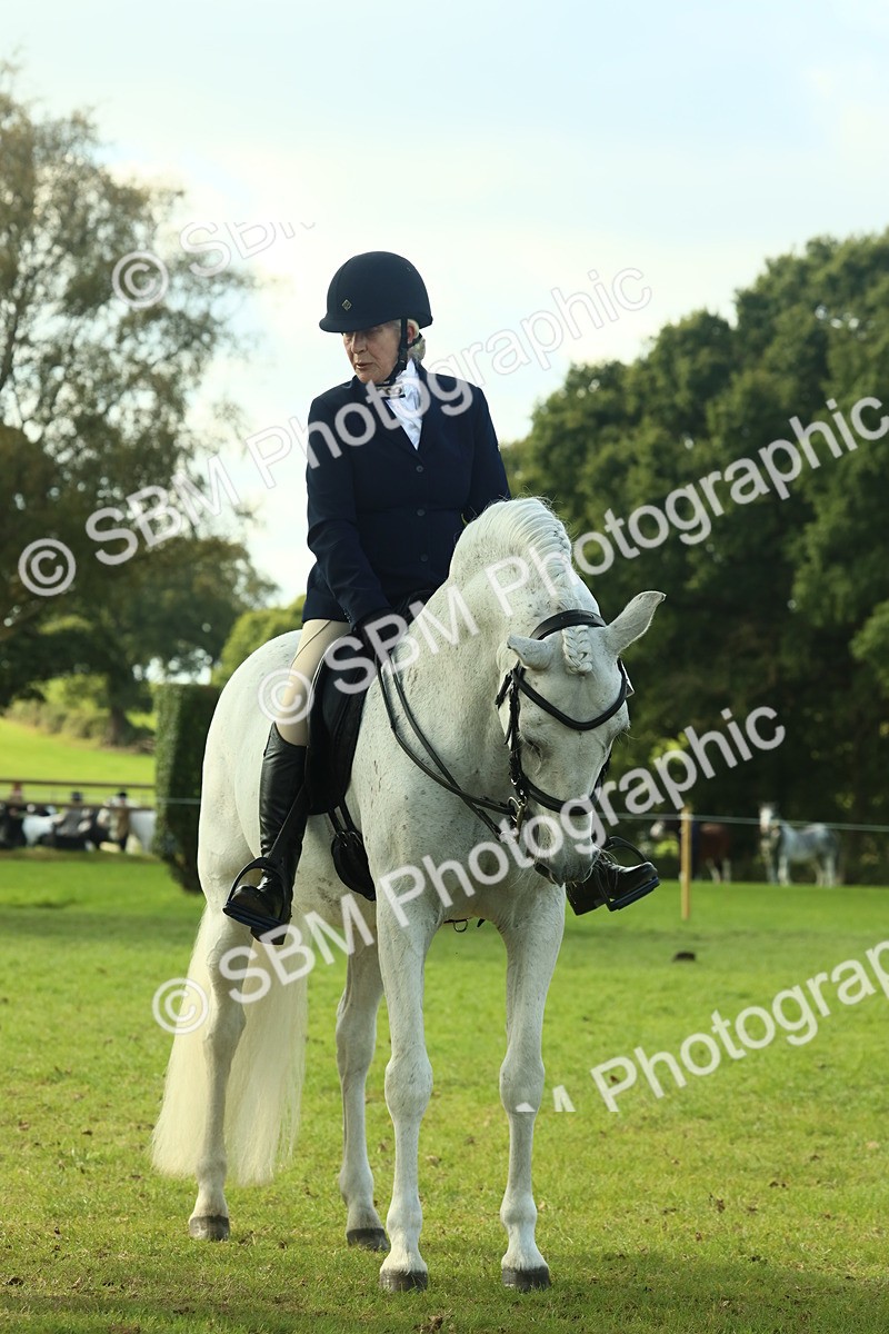 SBM_62433 - S62 - Foreign Breeds Ridden