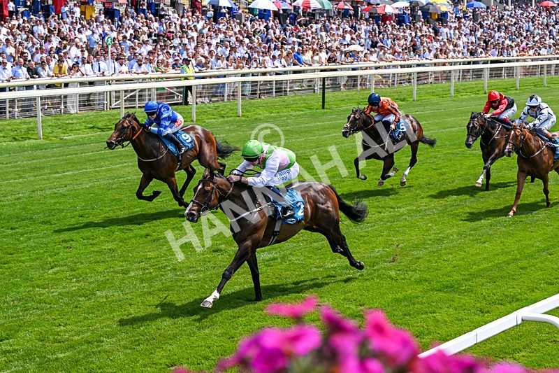 110726-Race 1-Big Cigar-0092 - Race 1 14.02pm John Smith's Nursery Handicap