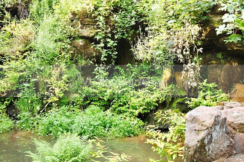 Fairy Glen - Liverpool