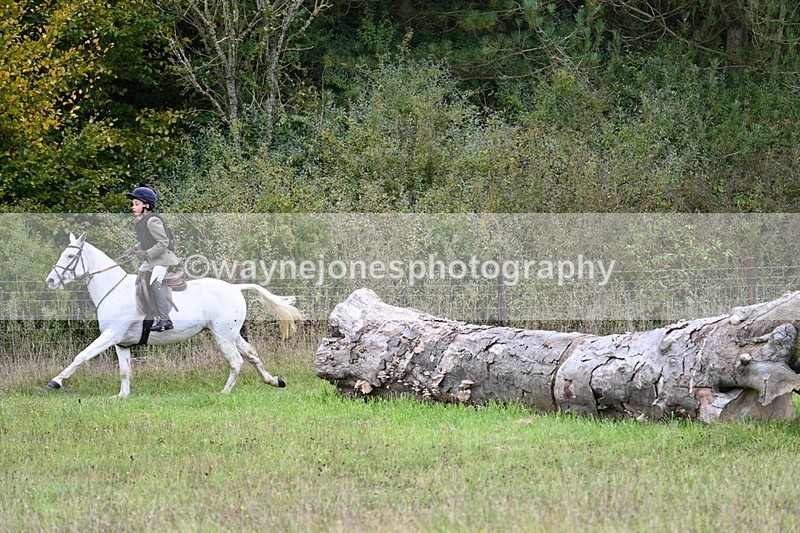 WJ7_3680 - Camera 1 Line 1