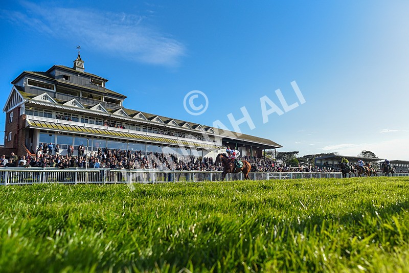 200424-Race 4-Shartash-2 - Race 4