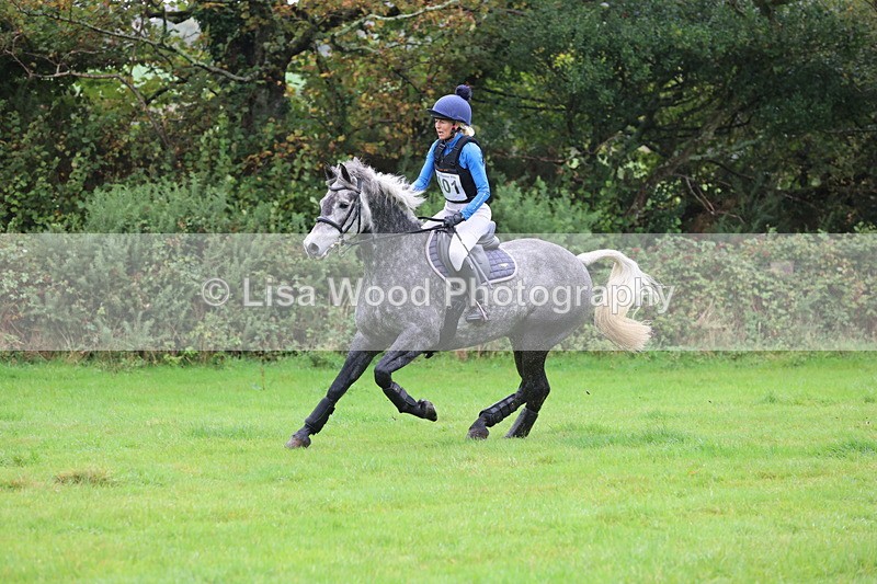 JPP_5390 - Class 4: 80cm: Crossed Logs