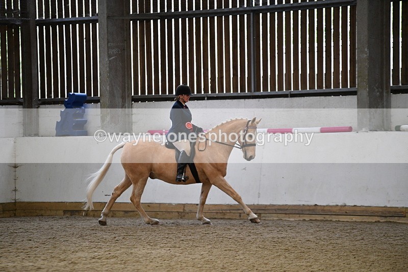 WJ5_6455 - Class 9 Ridden Veteran